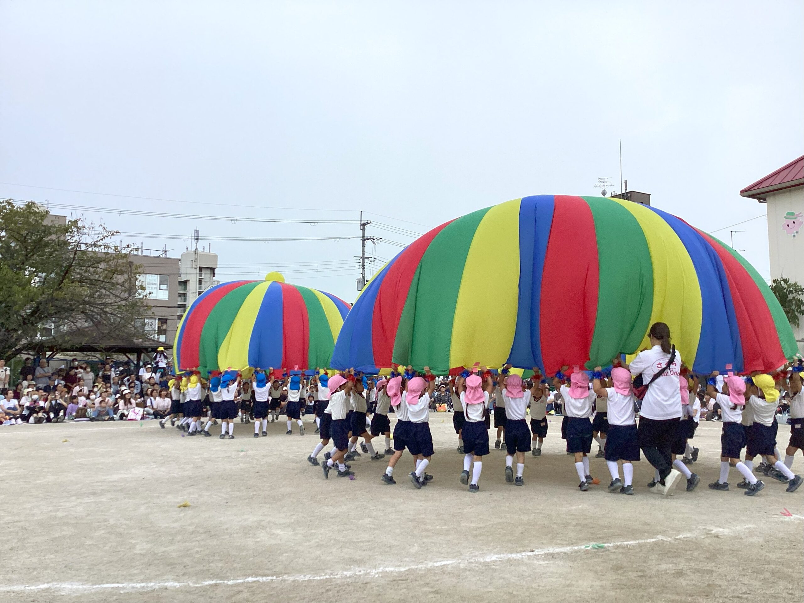 桜井市のさくら幼稚園（学校法人敷島学園）