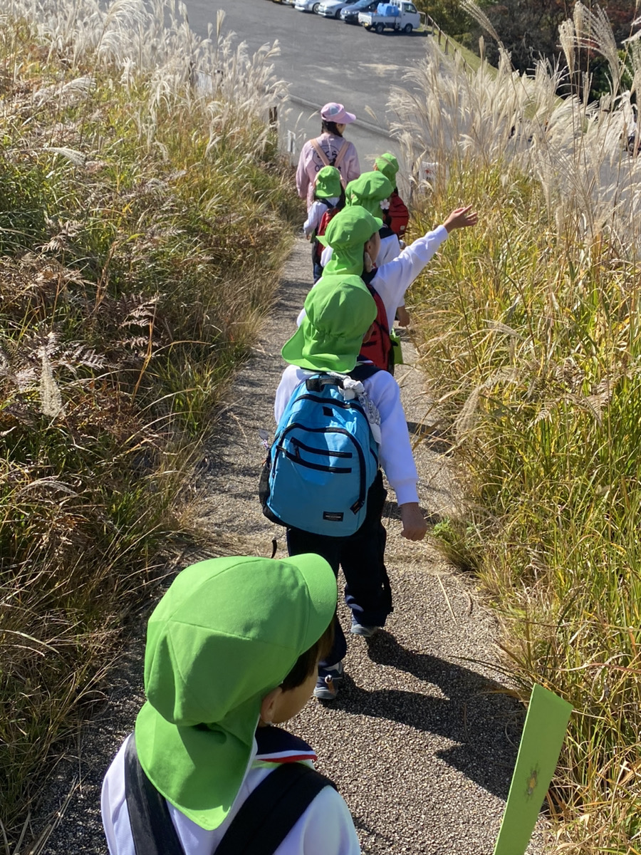 桜井市のさくら幼稚園（学校法人敷島学園）